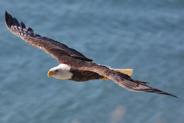 Photography by J Maria