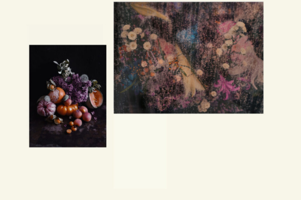 Ulrika Ekblom Photography