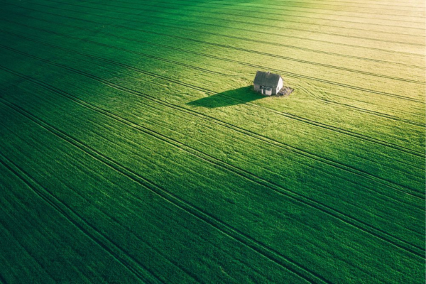 Андрей Пугач