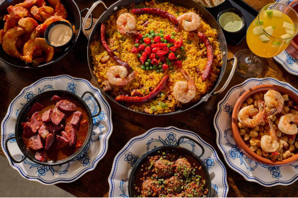 Angie Webb, Photographer