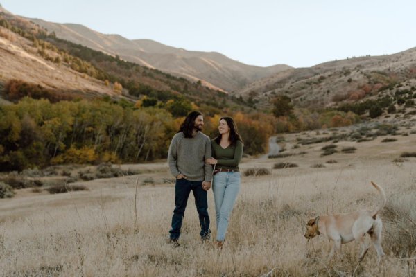 Idahome Media Group LLC