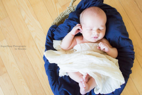 Sugarsnap Photography by Brandis