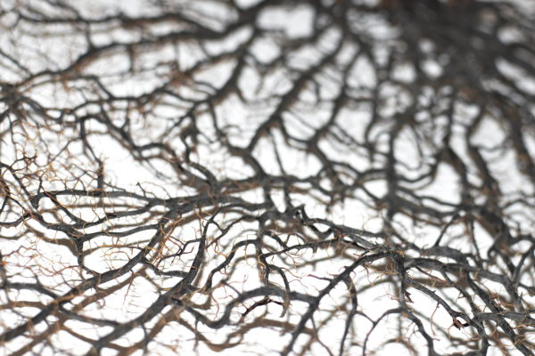 Grzegorz Leśniewski "magia Fotografii"