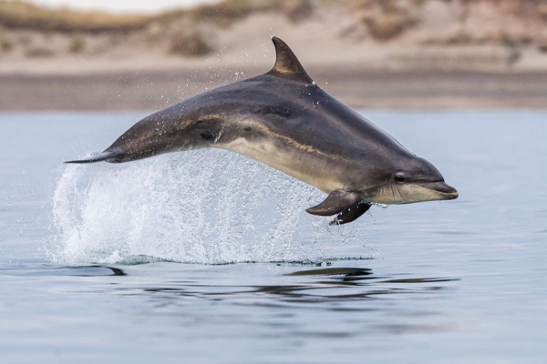 Carsten Thamdrup Lund